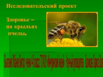 Здоровье - на крыльях пчелы 4 класс