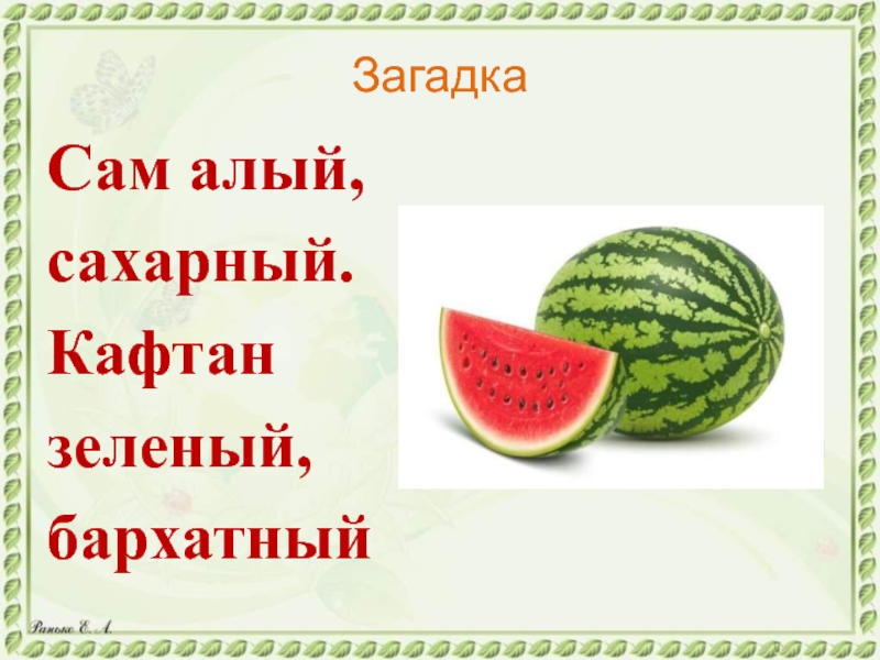 2 загадки про арбуз. Кафтан зеленый бархатный загадка. Сам алый сахарный кафтан зеленый бархатный. Загадка кафтан зеленый бархатный сам алый. Сам алый сахарный кафтан зеленый бархатный ответ на загадку.