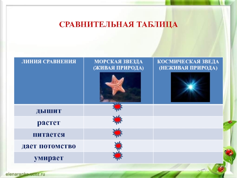 Живой сравнение. Звезды это тела живой или неживой природе. Морская звезда это Живая или неживая. Звезда Живая и нет.