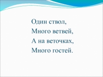 ДЕРЕВО. СЛЕДУЮЩИЕ ВЕРШИНЫ, ЛИСТЬЯ 3 класс