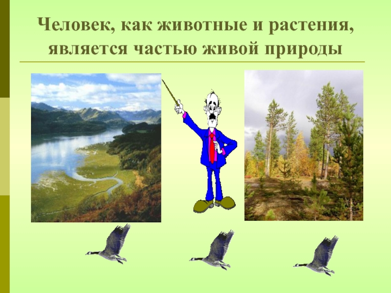 Частью живой природы являются. Животные часть живой природы. Является трава живой природой?.