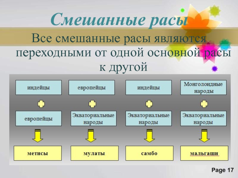 Презентация по географии 6 класс расы и народы