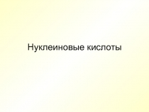 Нуклеиновые кислоты