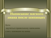 Написание мягкого знака после шипящих
