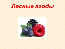 Лесные ягоды 1 класс