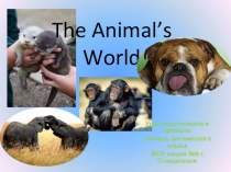The animal's world