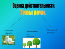 Оценка действительности. Типы речи 5 класс