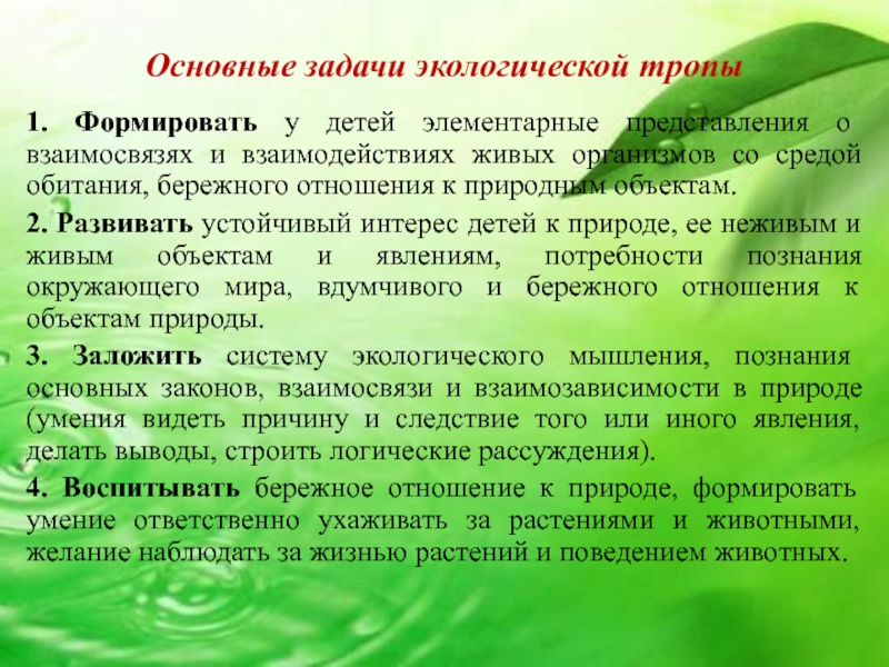 Задача экологического воспитания детей. Задачи экологического маршрута. Задачи экотропы. Задачи экологической тропы. Задачи экологической тропы в ДОУ.