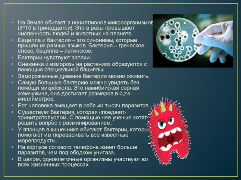 Минусы бактерий