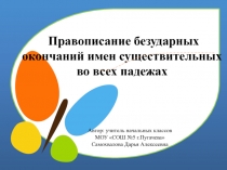 Правописание безударных окончаний имен существительных во всех падежах