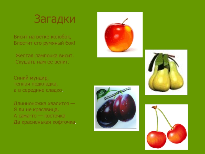 Загадка груша. Загадка про вишню. Загадки о плодовых деревьях. Висит на ветке Колобок блестит его румяный бок. Загадки для детей про вишню с ответами.