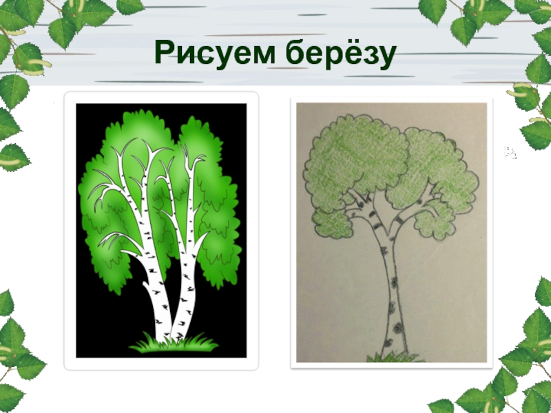 Рисуем березу 2 класс