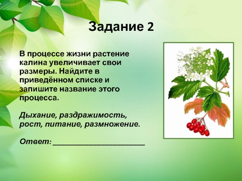 Название процесса. Процессы в жизни растений. Образ жизни растений. Значение этого процесса в жизни растения. Процессы у растения задание.