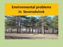 Environmental problems in Severodvinsk 6 класс
