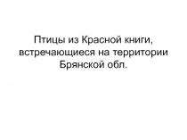 Птицы из Красной книги, встречающиеся на территории Брянской обл.