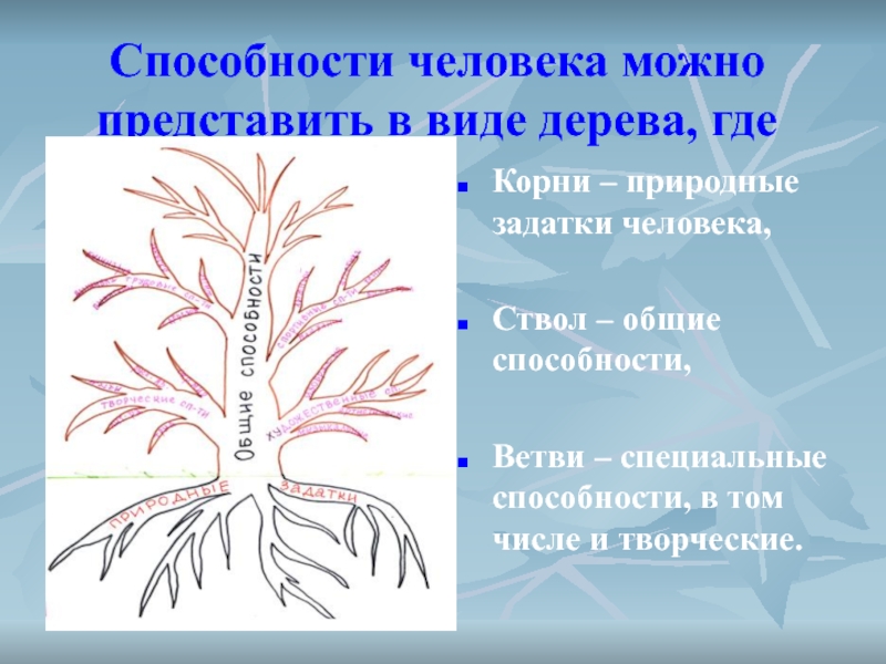 Длинную где корень. Способности человека в виде дерева. Способности в виде дерева. Способности человека можно представить в виде дерева. Способностей корень.