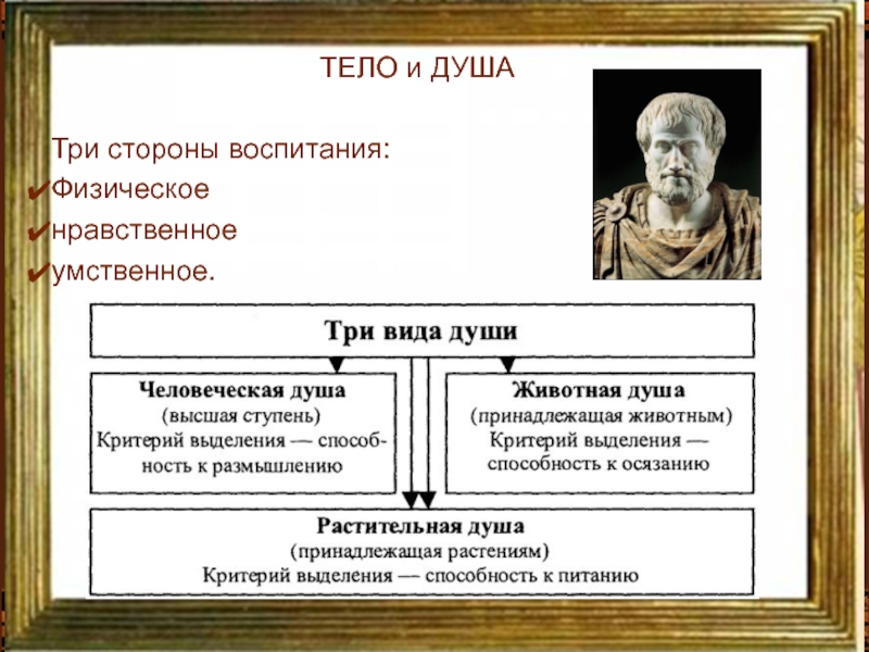 Философия аристотеля душа. Три вида души по Аристотелю. Аристотель стороны воспитания. Три стороны воспитания Аристотель. Три стороны воспитания (умственное, нравственное, физическое).