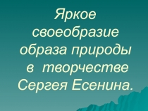 Яркое  своеобразие  образа  природы в  творчестве  Сергея  Есенина