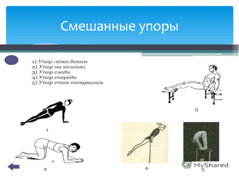 Упор это. Смешанные упоры. Упор сидя сзади в гимнастике. Смешанные упоры в гимнастике. Упор это в физкультуре.