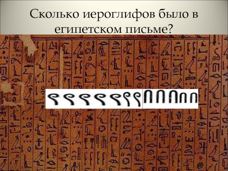 Буквы египтян. Сколько всего было иероглифов в египетском. Сколько всего иероглифов в египетском письме. Сколько иероглифов было в египетской письменности. Сколько всего было иероглифов было в египетском письме.