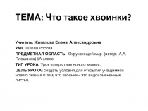 Презентация по теме: Что такое хвоинки?