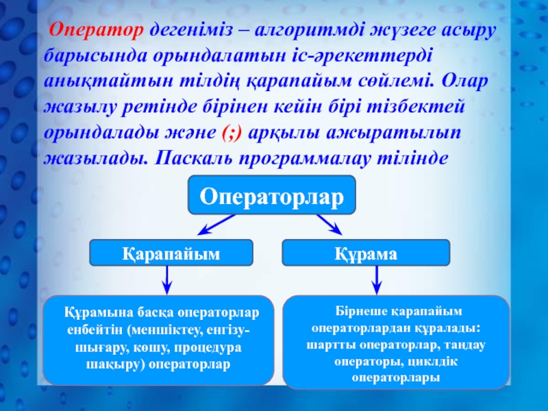 Тармақталған алгоритмдерді программалау презентация