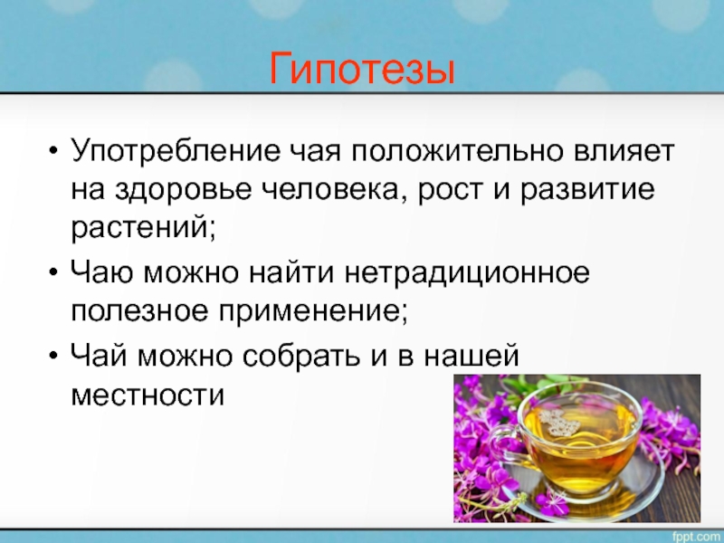 Чай польза или вред исследовательская работа презентация