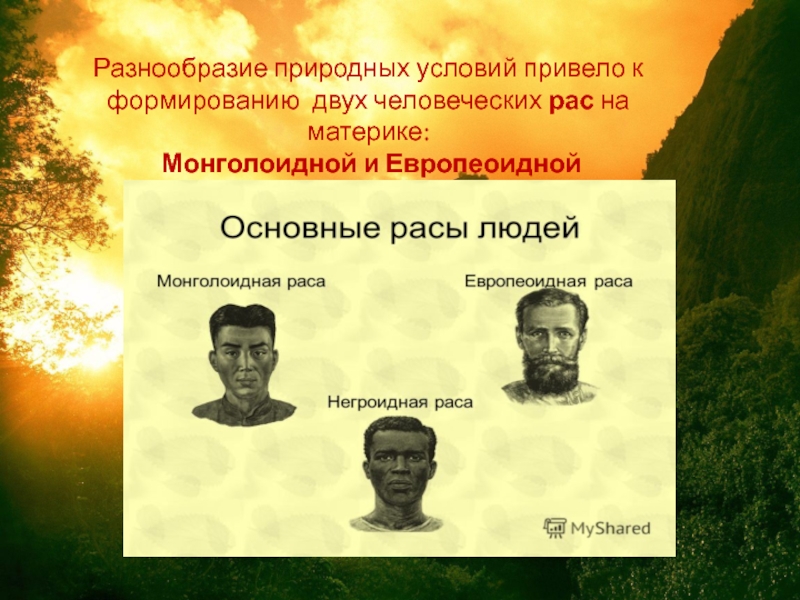 Европеоидная монголоидная негроидная раса. Природные условия негроидной расы. Европеоидная монголоидная негроидная раса таблица. Природные условия монголоидной расы.