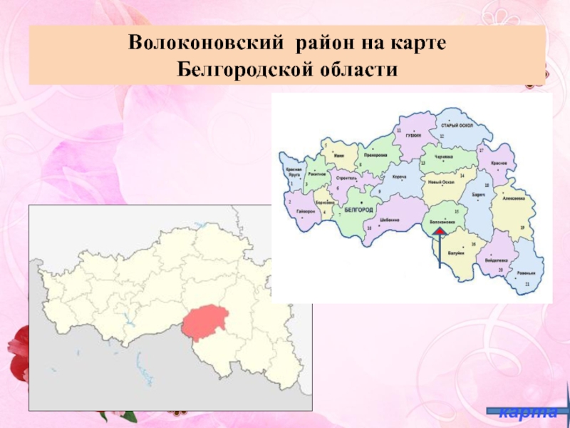 Публичная карта белгородской
