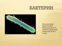 Презентация для урока биологии 