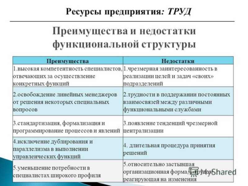 Рынок труда индивидуальный проект