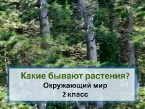 Презентация к уроку окружающего мира во 2 классе на тему: 