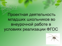 Проектная деятельность младших школьников во внеурочной работе в условиях реализации ФГОС