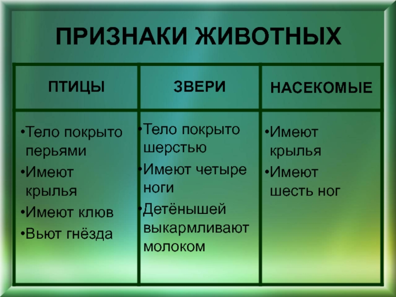 Признаки животных лесов. Признаки леса. Признаки зверей. Тело покрыто шерстью четыре ноги группа животных. Тело покрыто шерстью 4 ноги.