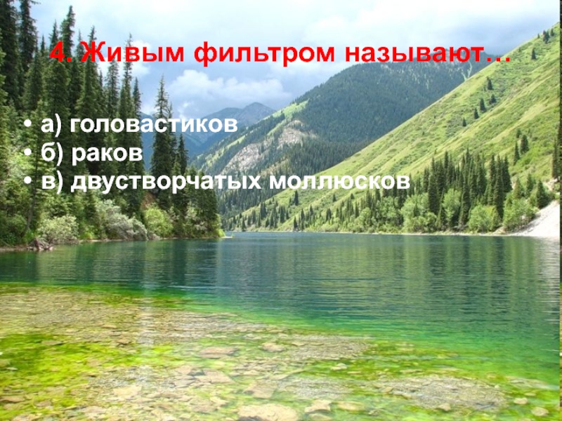 Пресные водоемы 4 класс окружающий мир. Живым фильтром называют. Живой фильтр пресных водоемов. Живые фильтры водоемов 4 класс. Живым фильтром пресных водоёмов называют.