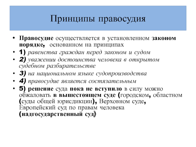 Осуществляемая в установленном законом порядке. Принципы правосудия. Конституционные принципы правосудия ДНР. Принципы правосудия правоохранительные органы. Принципы правосудия равенство всех перед законом и судом.