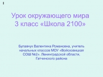 Урок-презентация по окружающему миру 