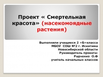 Презентация проекта 