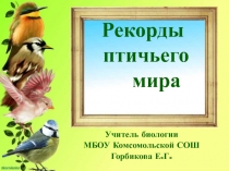 Рекорды птичьего мира