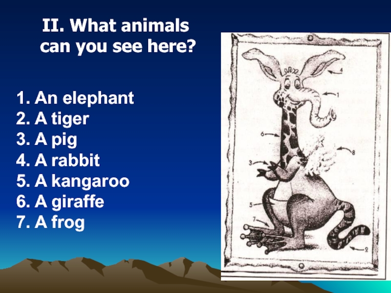 Were you did at the zoo. At the Zoo 4 класс Spotlight. What animals can you see. What can animals do. What can do animals 4 класс.