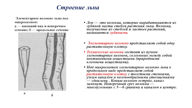 Элементарные волокна