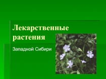 Проект по окружающему миру.