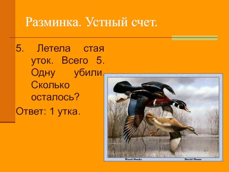 Сколько осталось лететь. Стая уток летит. Загадка отгадка утка. Сколько всего уток ответ. Летела стая уток одну убили сколько осталось.