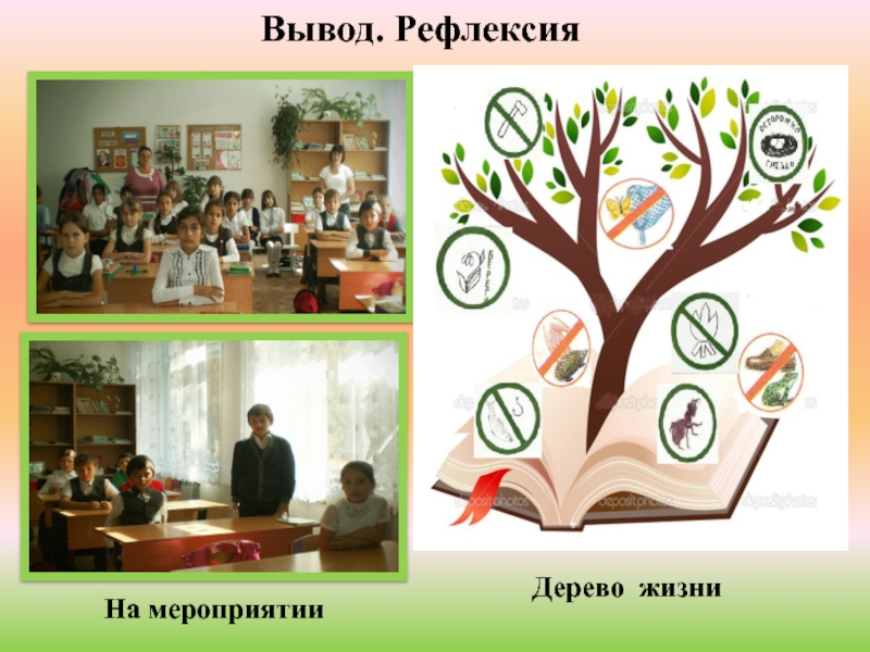 Презентация,посвященная году экологии Дерево жизниНа мероприятииВывод. Рефлексия