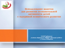 Использование макетов для развития познавательной активности детей с задержкой психического развития