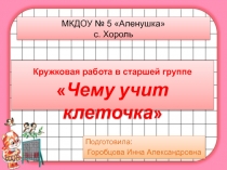 Кружковая работа в старшем дошкольном возрасте   Чему учит клеточка