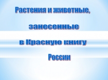 Растения и животные, занесённые в Красную книгу