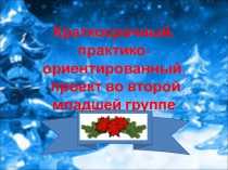 Проектная деятельность во второй младшей группе на тему Елочка зеленая на праздник к нам пришла