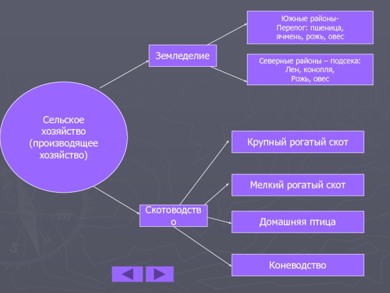 Перелог. Перелог это в древней Руси. Перелог определение. Перелог это в истории.