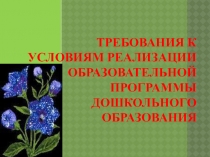 Требования к условиям реализации образовательной программы дошкольного образования